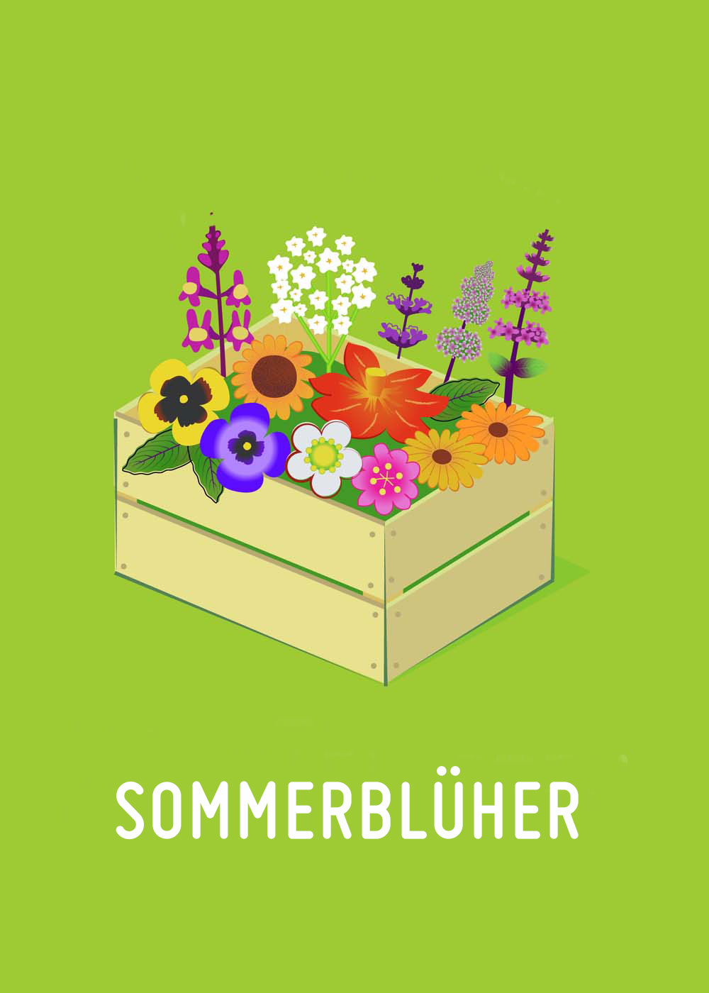 Pflanzenkiste: Sommerblumen